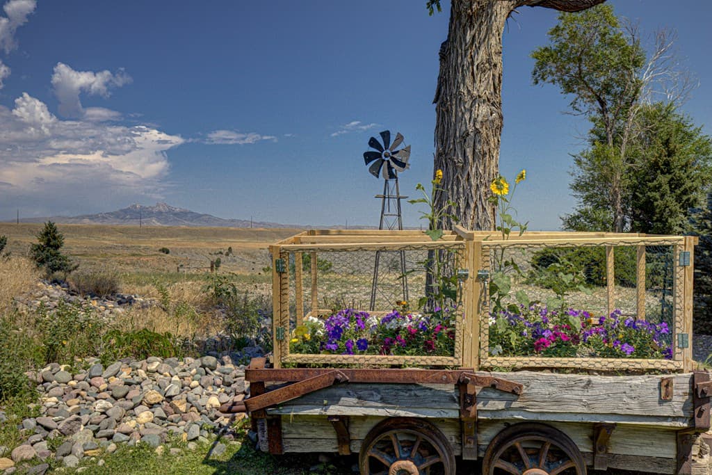 1531 Gulch St — photo 29 of 52