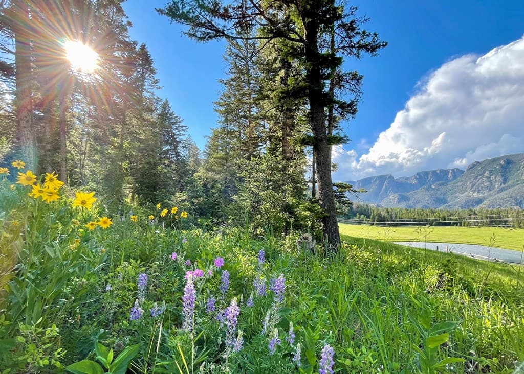 2978 Hwy 296 — photo 2 of 22