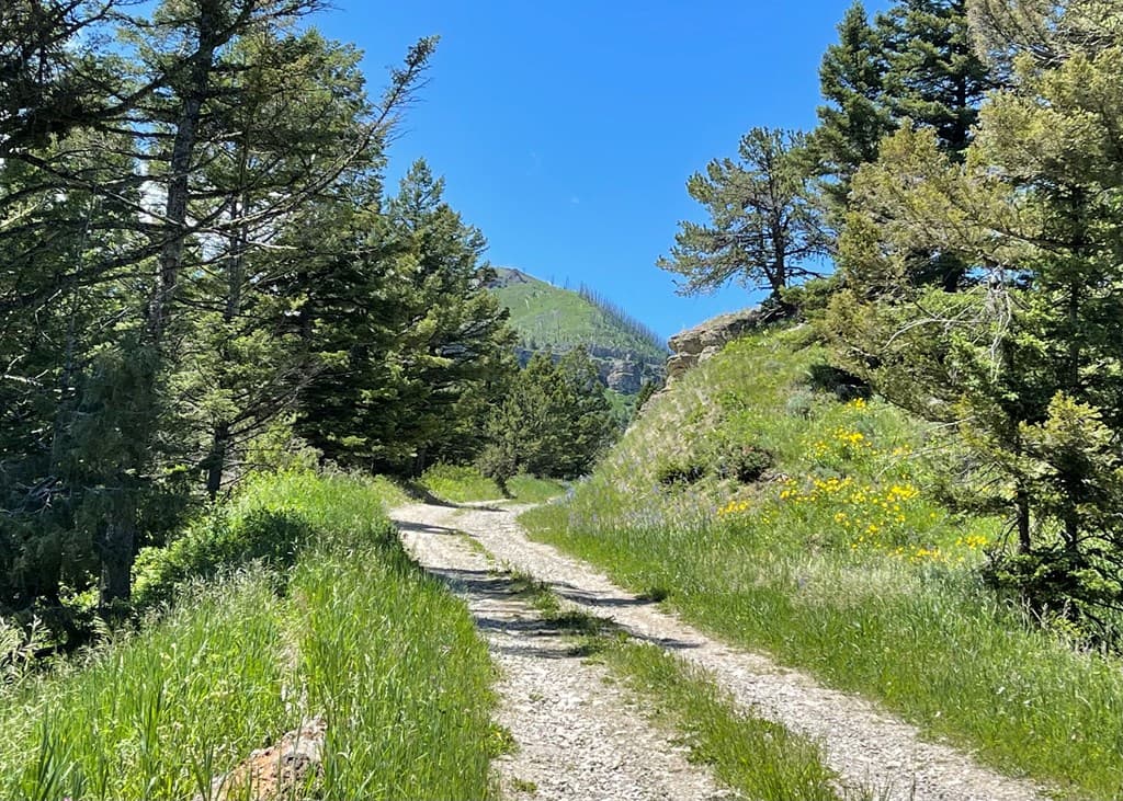 2978 Hwy 296 — photo 13 of 22