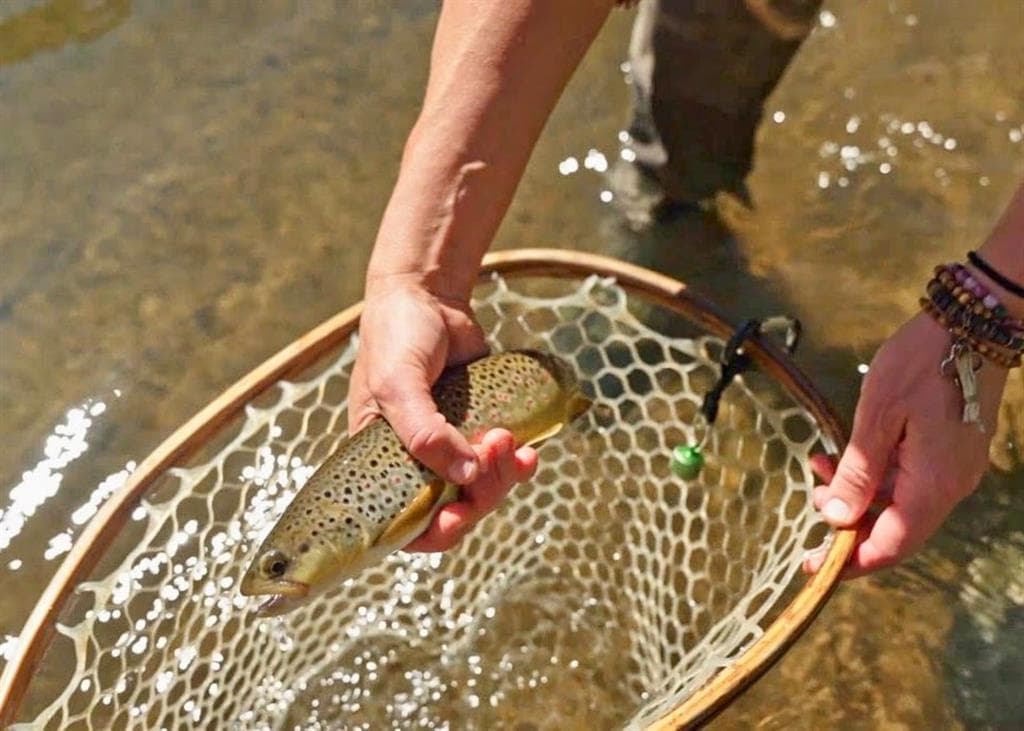 2978 Hwy 296 — photo 14 of 22