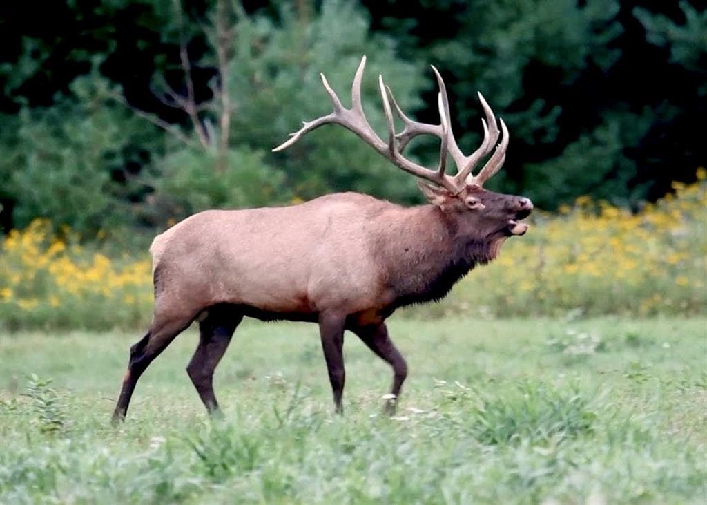 2978 Hwy 296 — photo 15 of 22