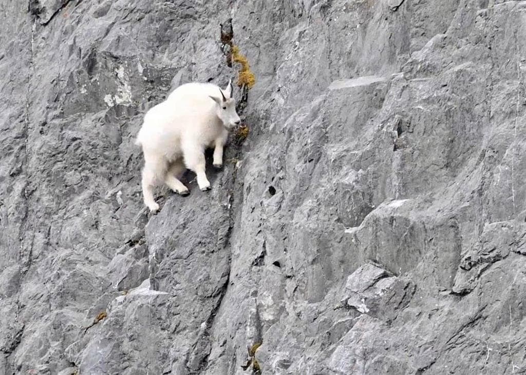 2978 Hwy 296 — photo 16 of 22