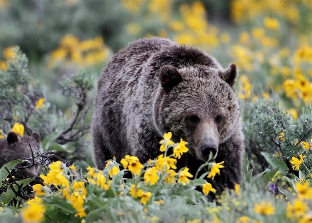 2978 Hwy 296 — photo 17 of 22