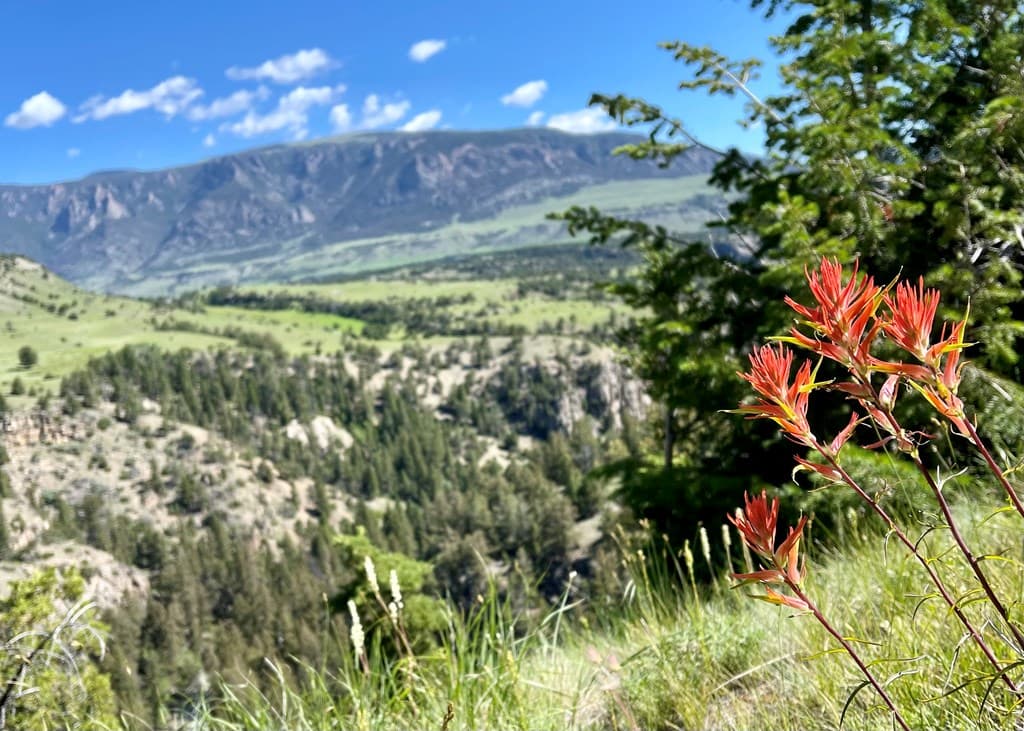 2978 Hwy 296 — photo 20 of 22