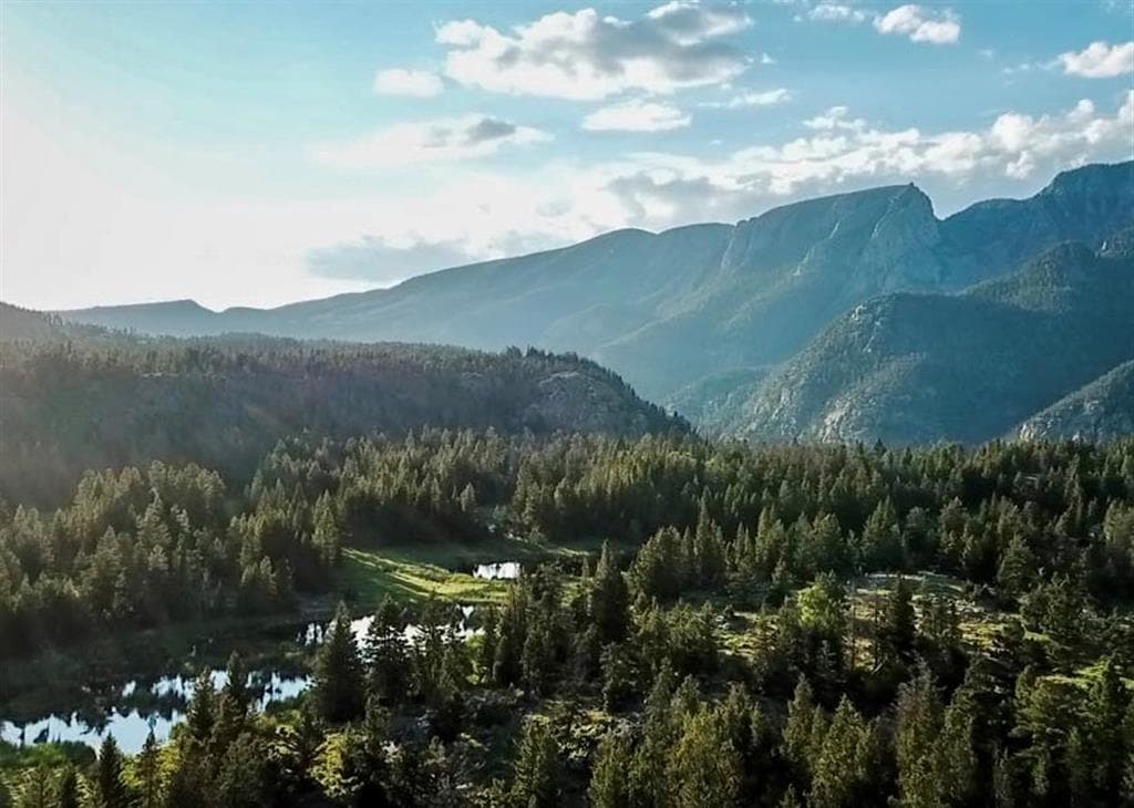 2978 Hwy 296 — photo 4 of 22