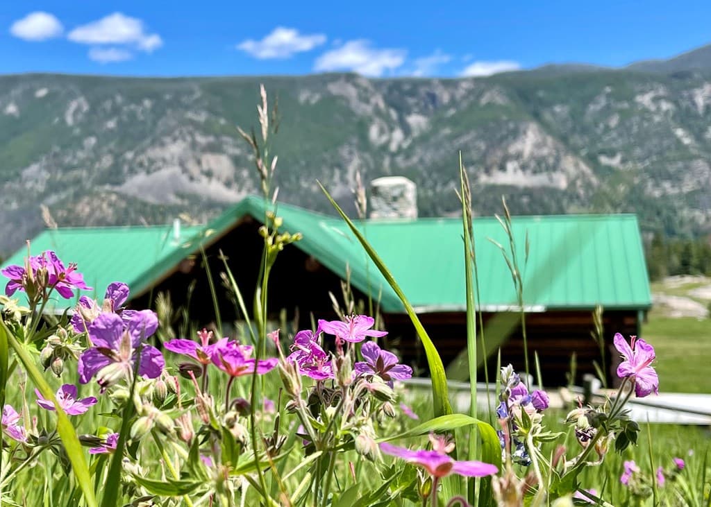 2978 Hwy 296 — photo 9 of 22