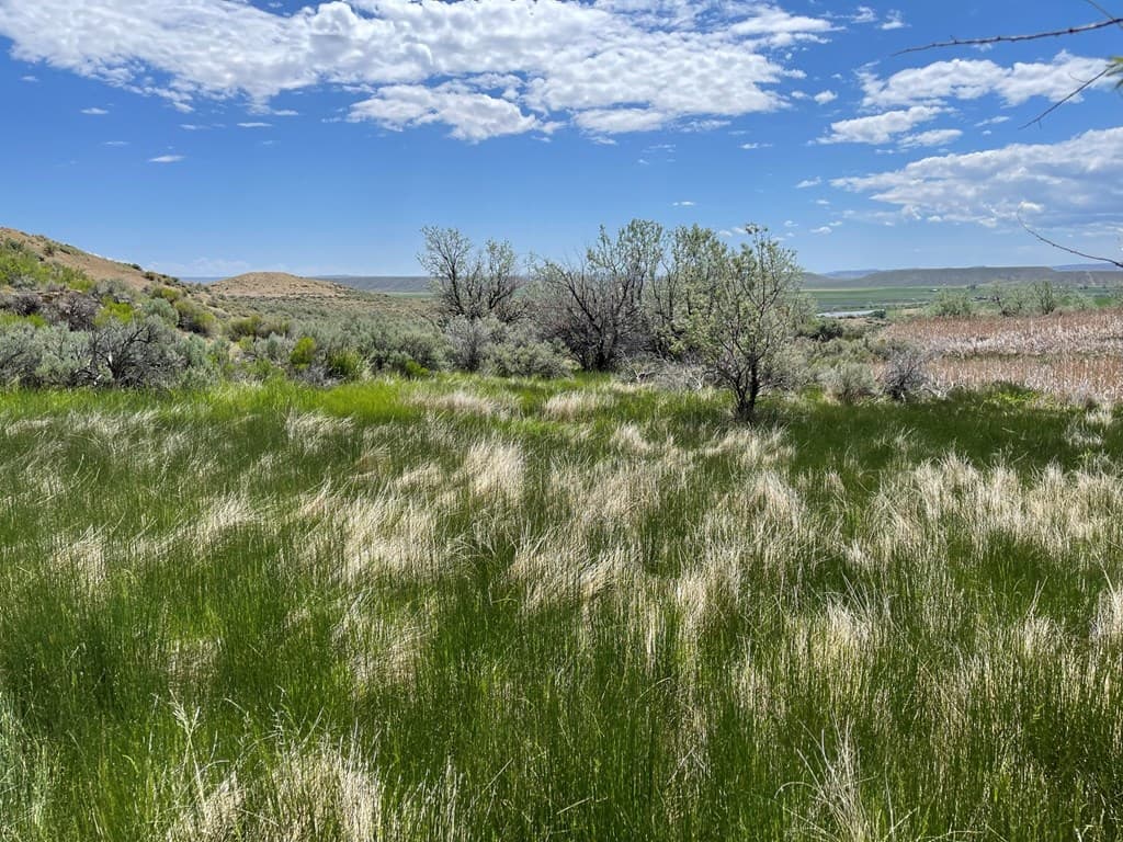 TBD None assigned — photo 12 of 16