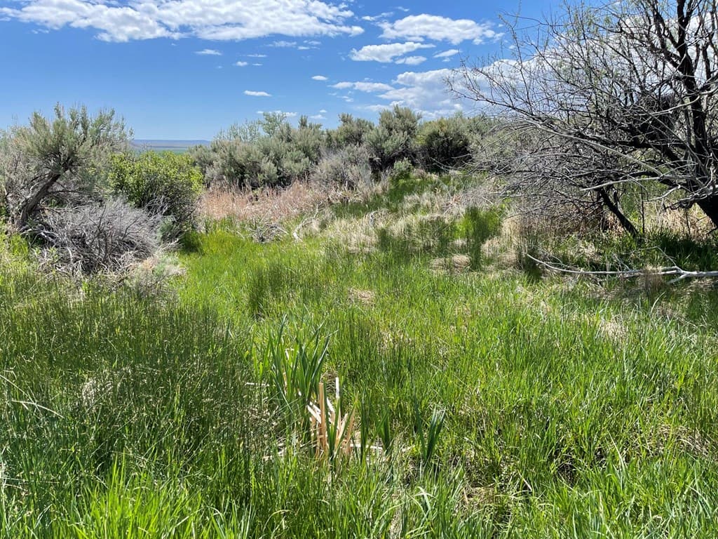 TBD None assigned — photo 13 of 16