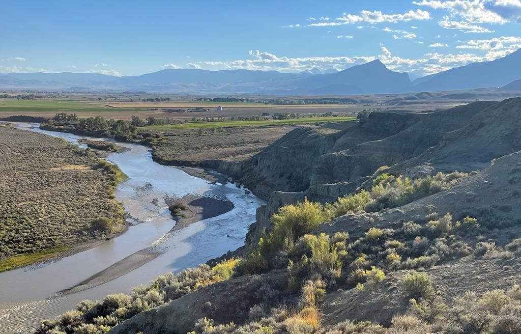 TBD None assigned — photo 14 of 16