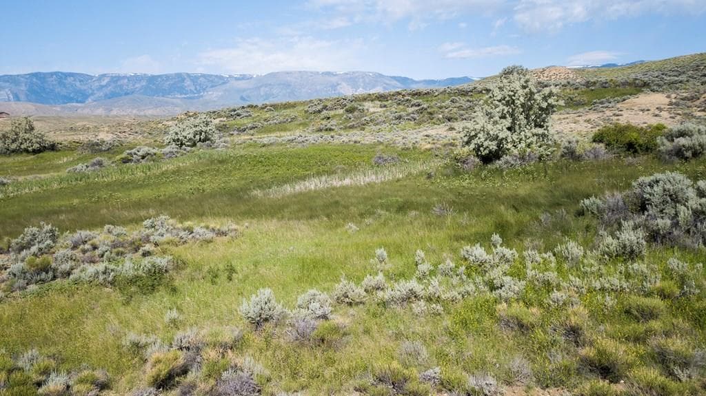 TBD None assigned — photo 5 of 16