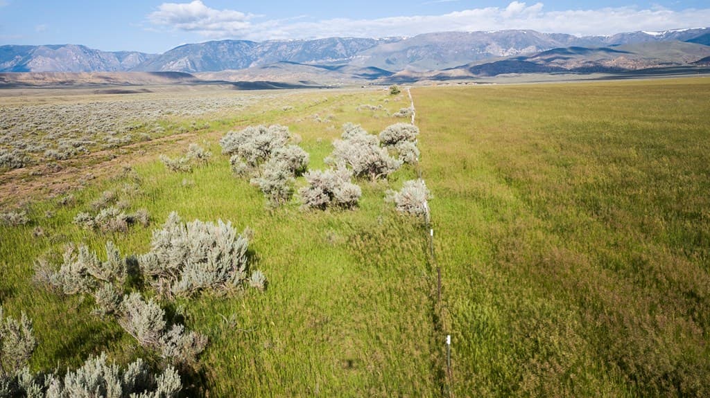 TBD None assigned — photo 6 of 16