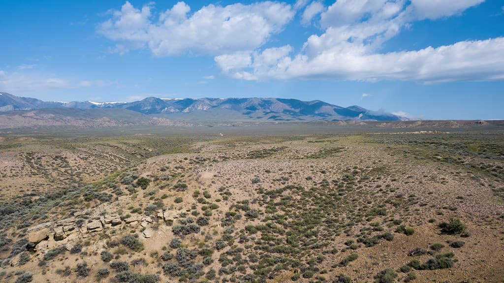 TBD None assigned — photo 8 of 16