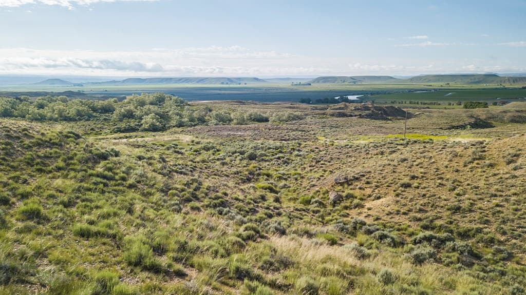 TBD None assigned — photo 10 of 16