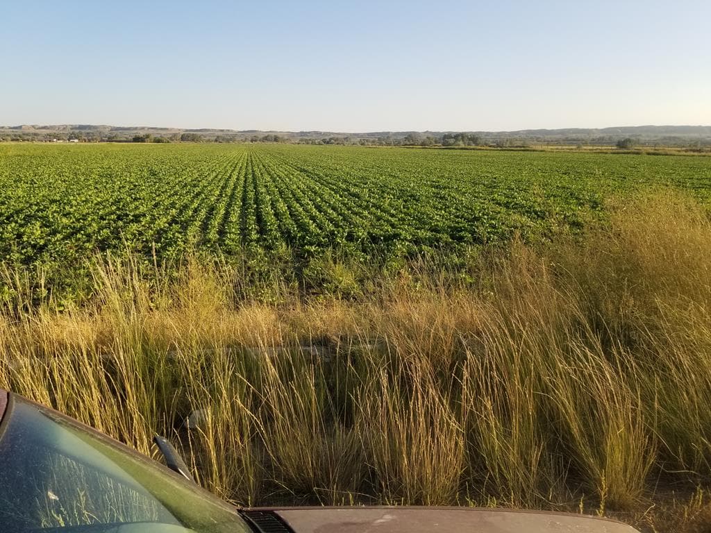 359 Lane 7 1/2 photo 1