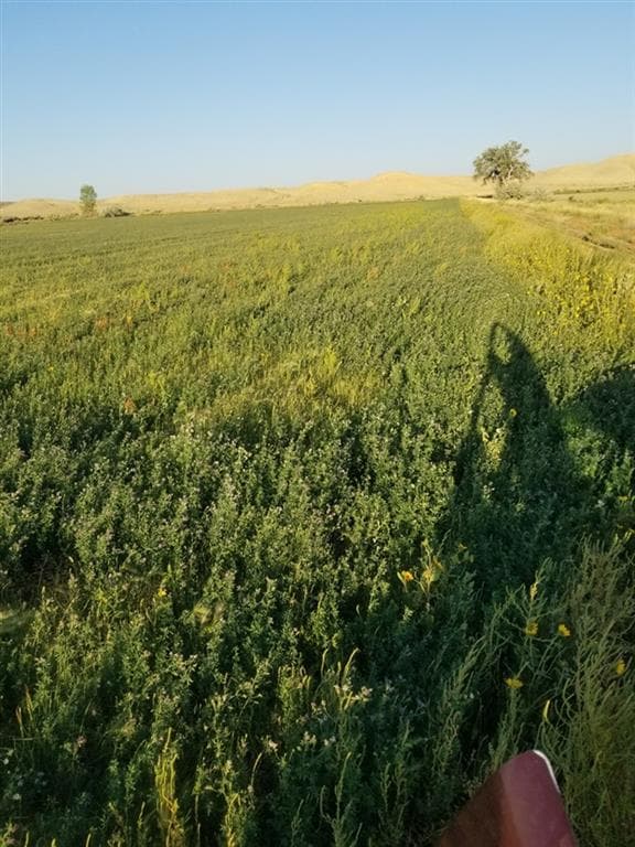 359 Lane 7 1/2 — photo 2 of 17