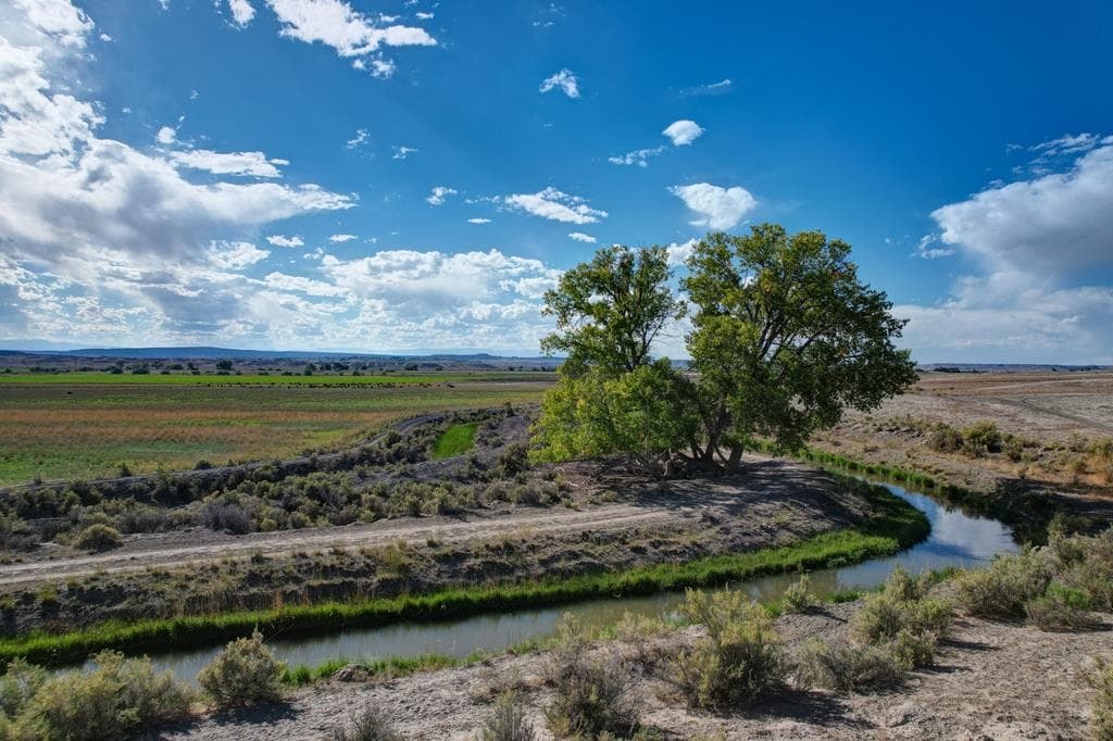 359 Lane 7 1/2 — photo 14 of 17