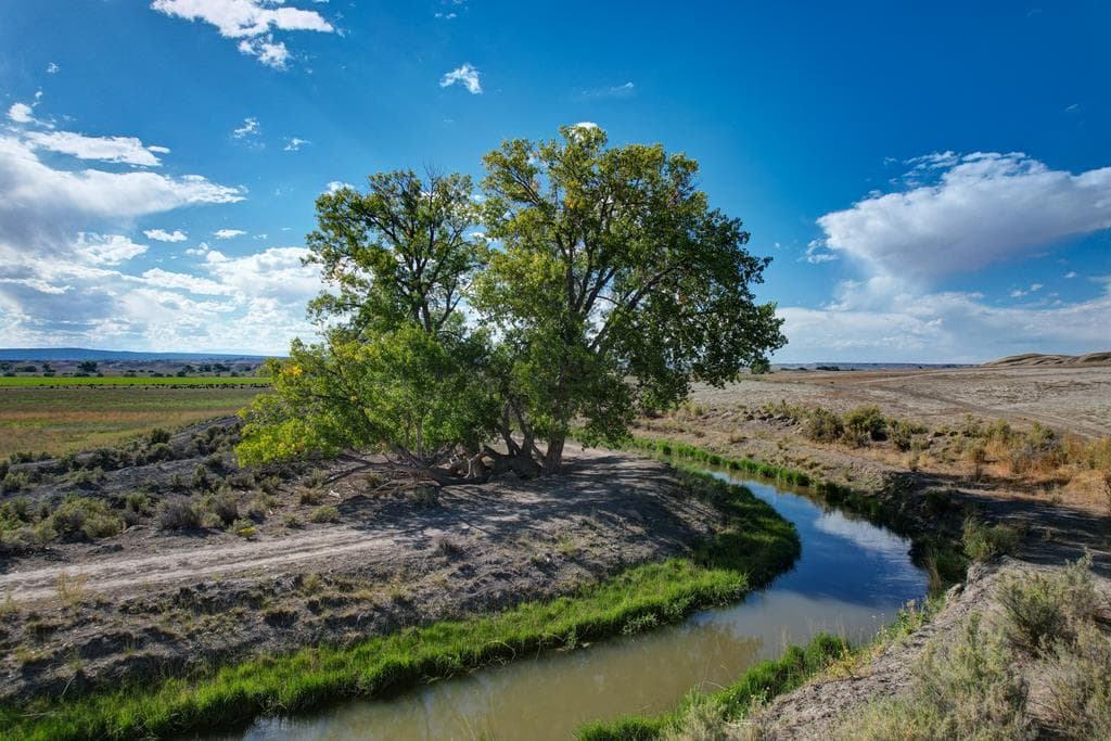 359 Lane 7 1/2 — photo 15 of 17