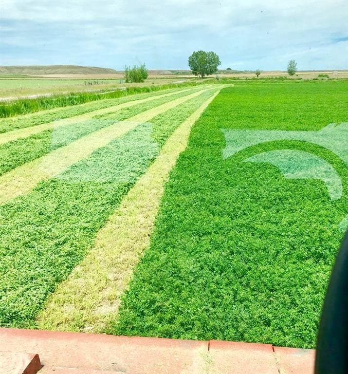 TBD Road 19 1/2 — photo 3 of 18