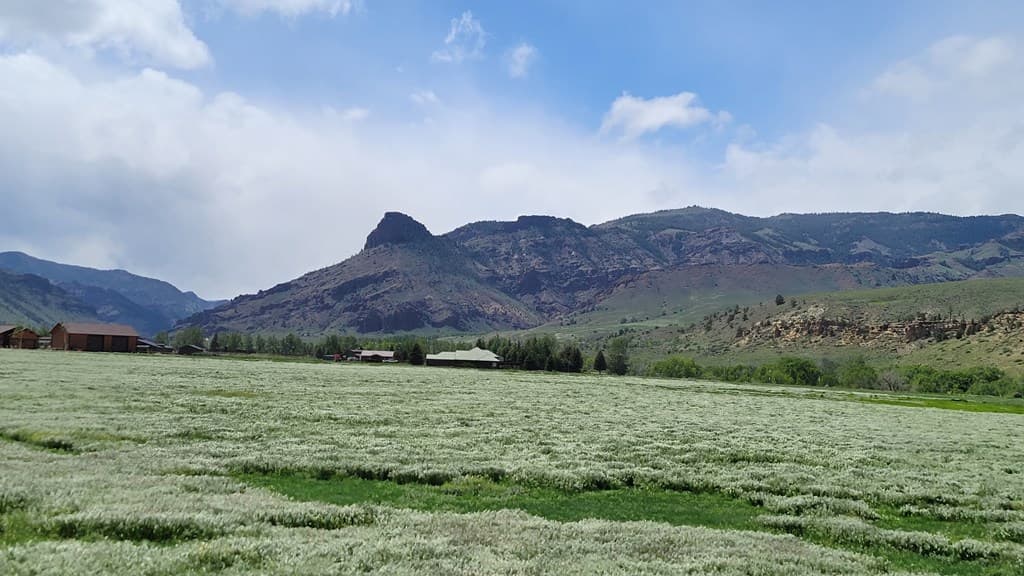 131 Copperleaf Dr — photo 5 of 6