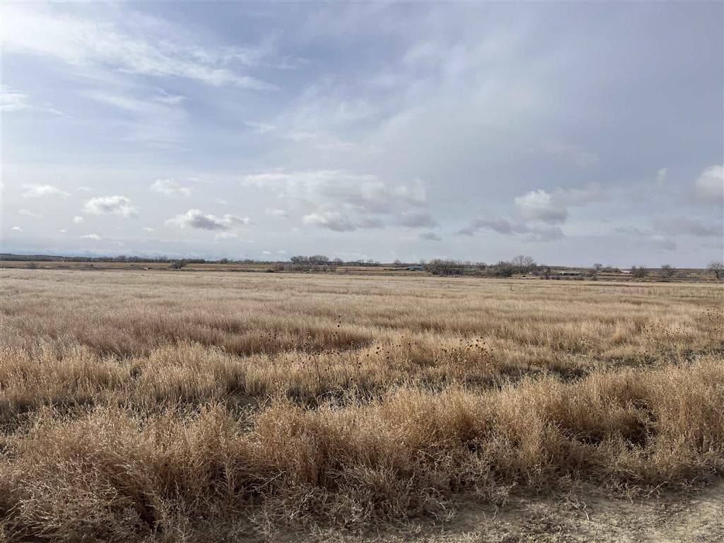 TBD Lane 6 — photo 15 of 19