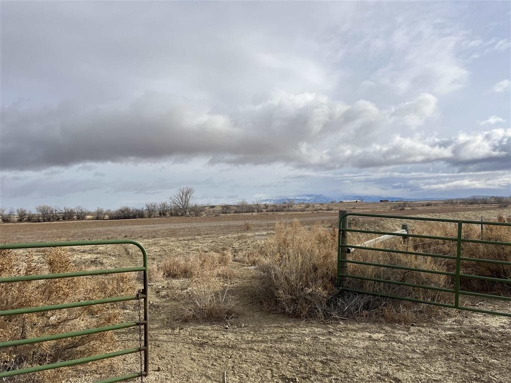 TBD Lane 6 — photo 16 of 19