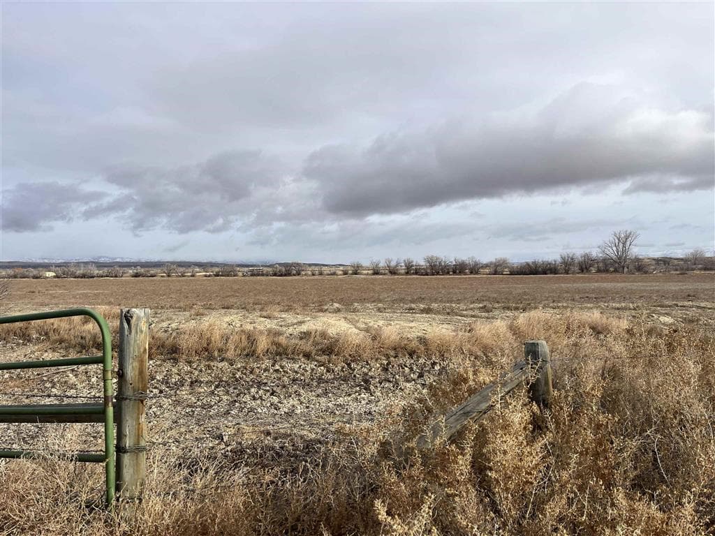 TBD Lane 6 — photo 17 of 19