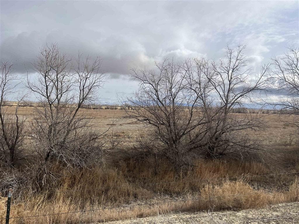 TBD Lane 6 — photo 19 of 19