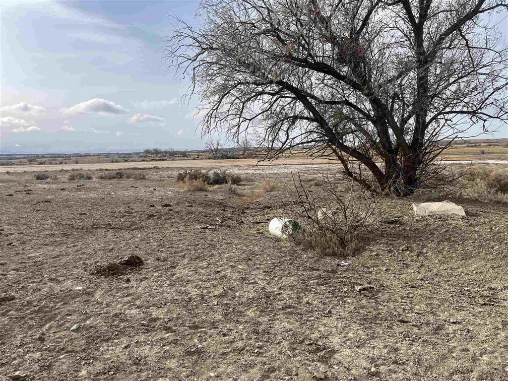 TBD Lane 6 — photo 5 of 19