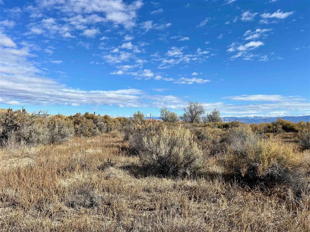 TBD Hwy 310 — photo 8 of 21