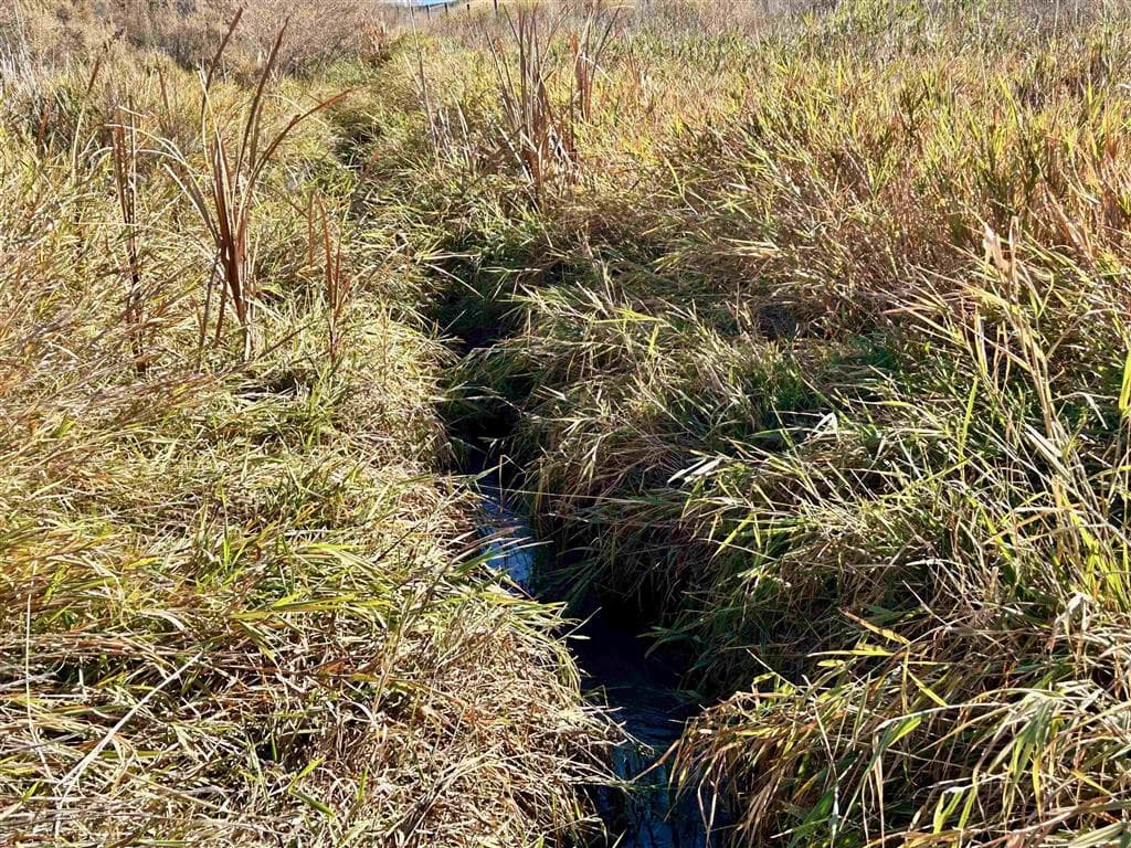 TBD Hwy 310 — photo 9 of 21