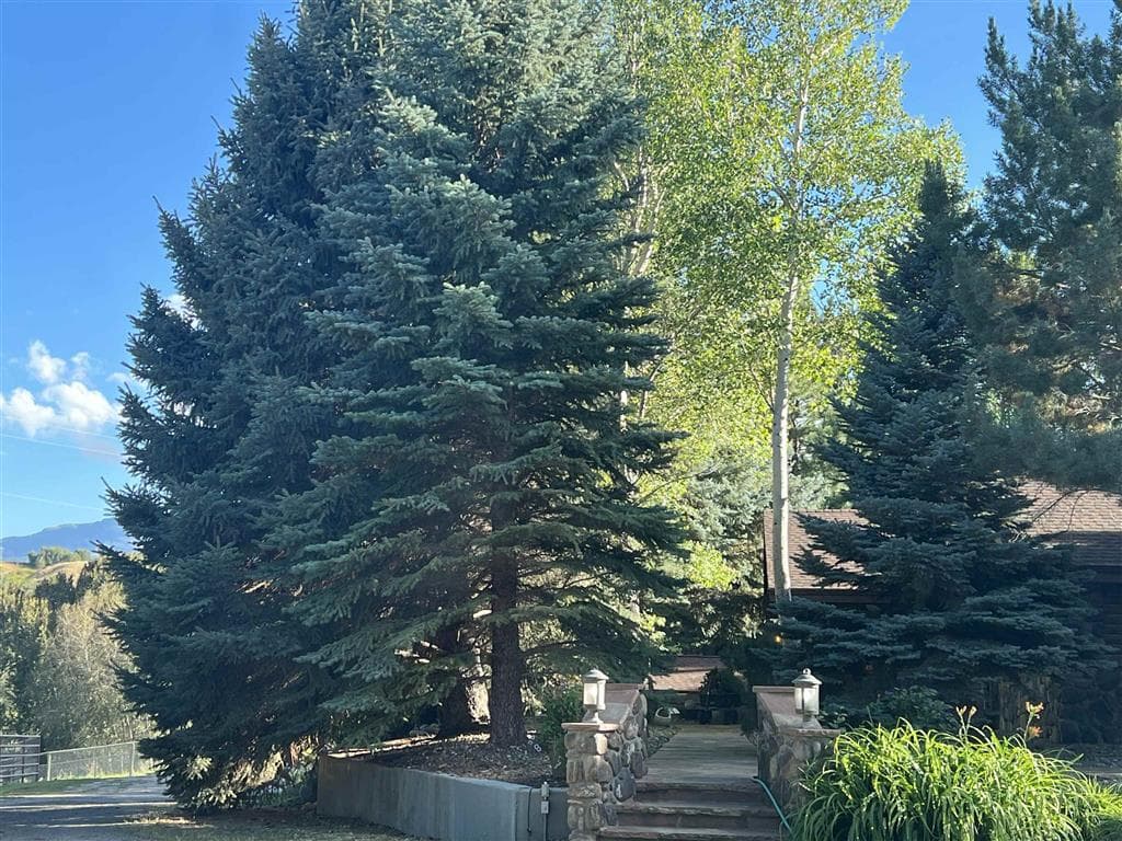 366 Lower Southfork Rd — photo 45 of 87