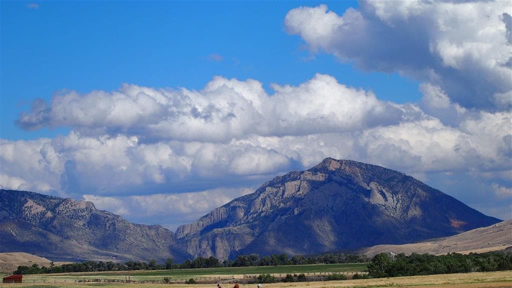 366 Lower Southfork Rd — photo 46 of 87