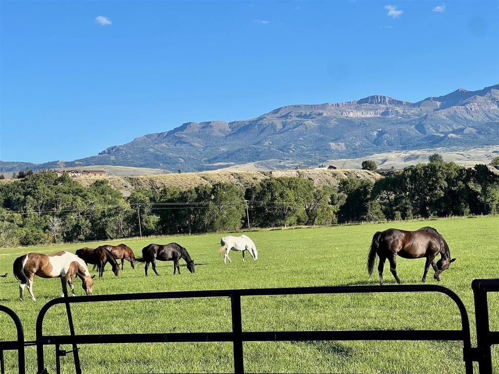 366 Lower Southfork Rd — photo 48 of 87