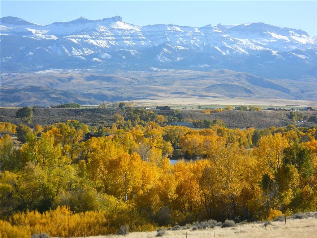 366 Lower Southfork Rd — photo 49 of 87