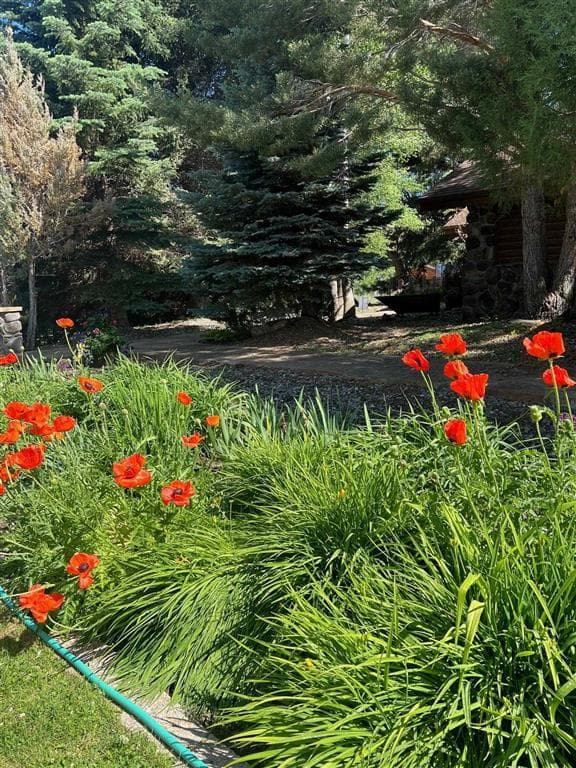 366 Lower Southfork Rd — photo 52 of 87