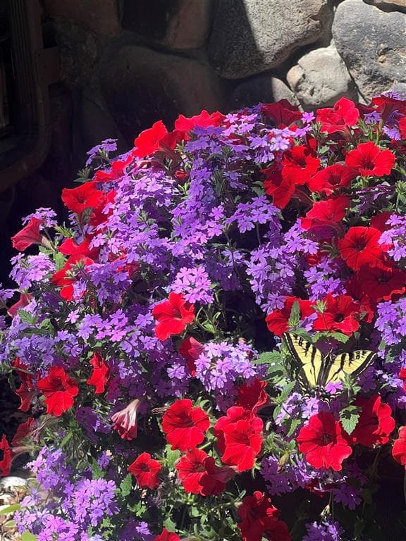 366 Lower Southfork Rd — photo 53 of 87