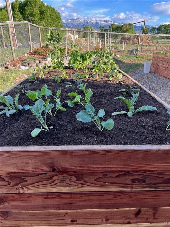 366 Lower Southfork Rd — photo 54 of 87