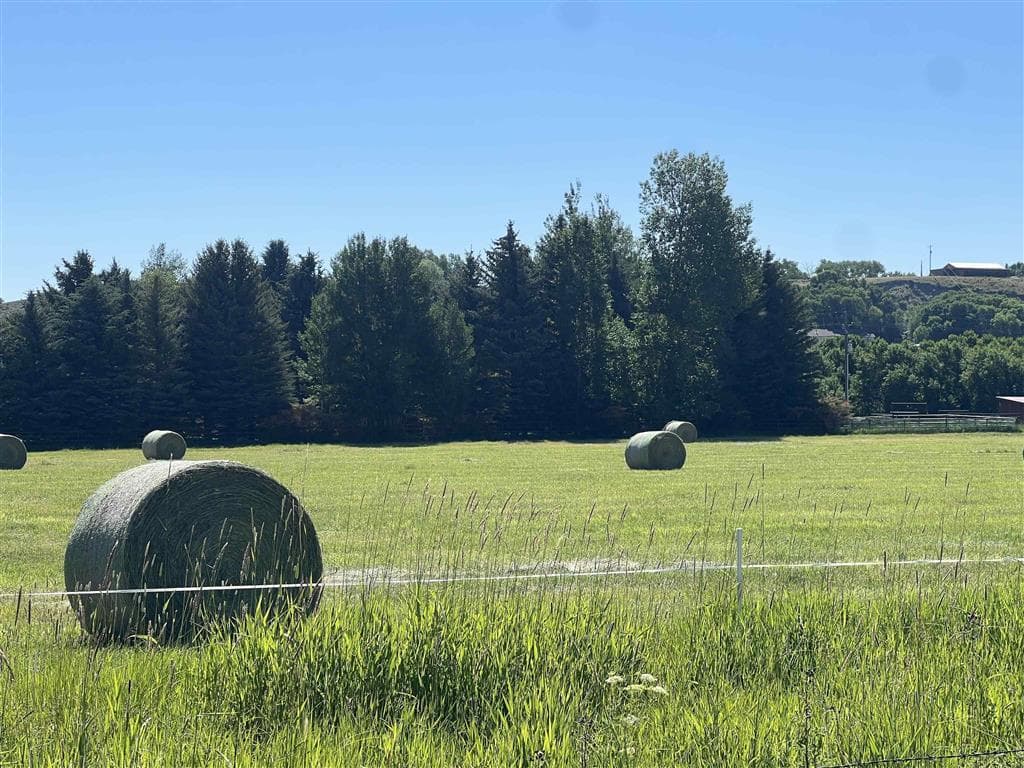 366 Lower Southfork Rd — photo 55 of 87