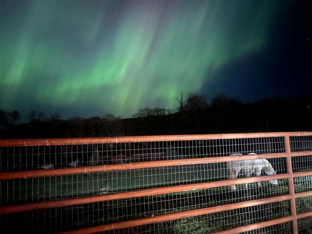 366 Lower Southfork Rd — photo 63 of 87