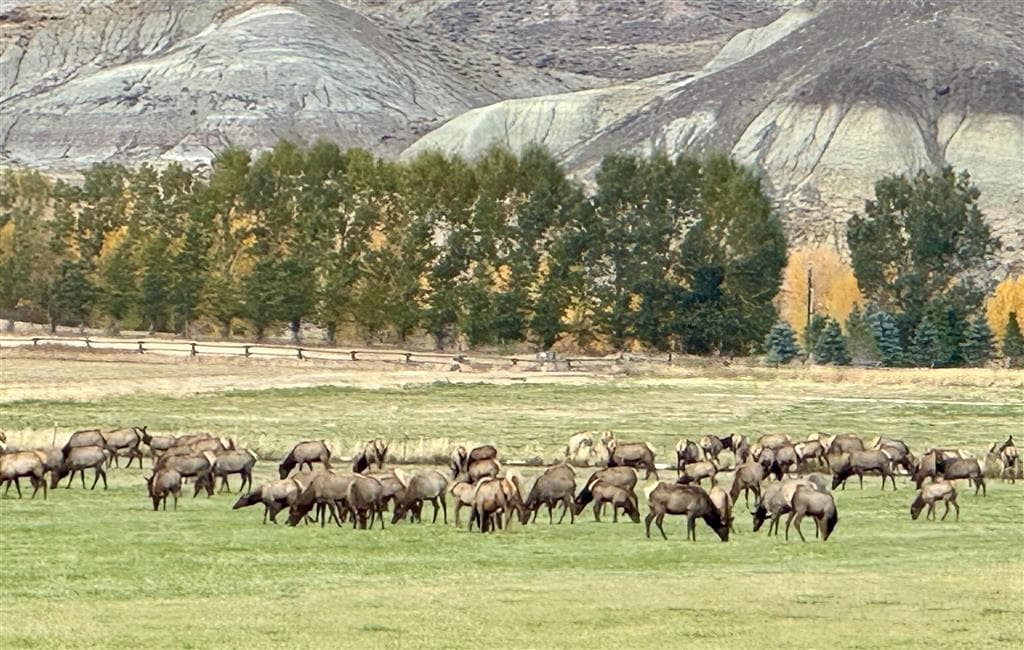 TBD Hawk Dr — photo 7 of 11