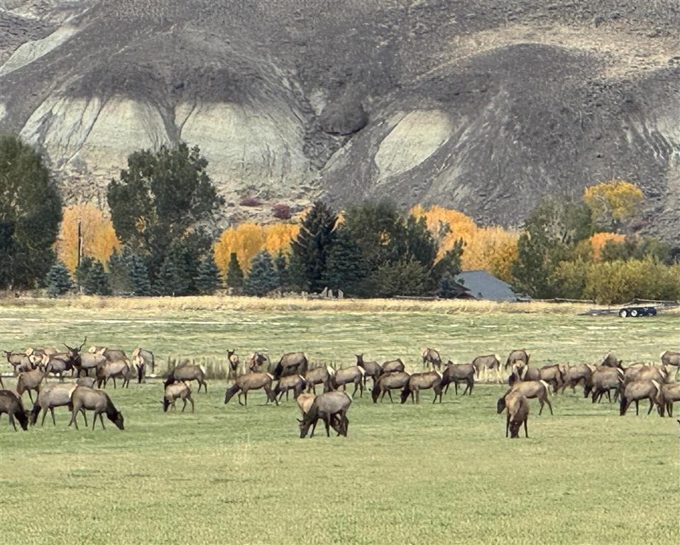 TBD Hawk Dr — photo 8 of 11