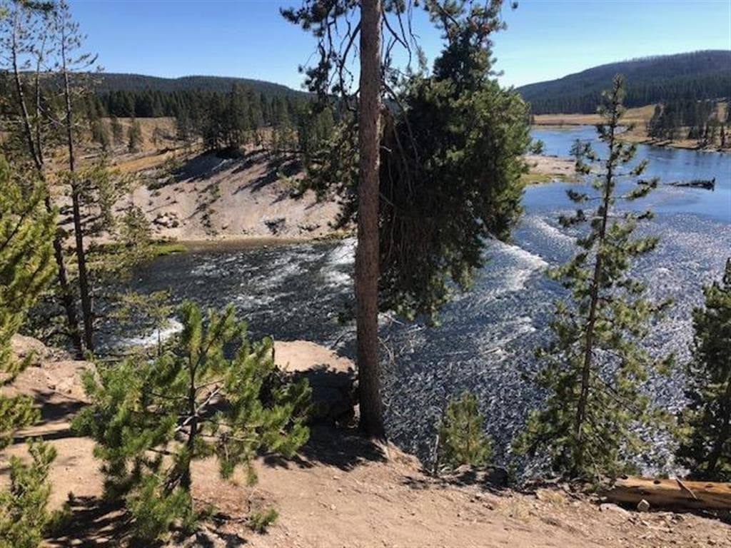 49 Copperleaf Dr — photo 3 of 18