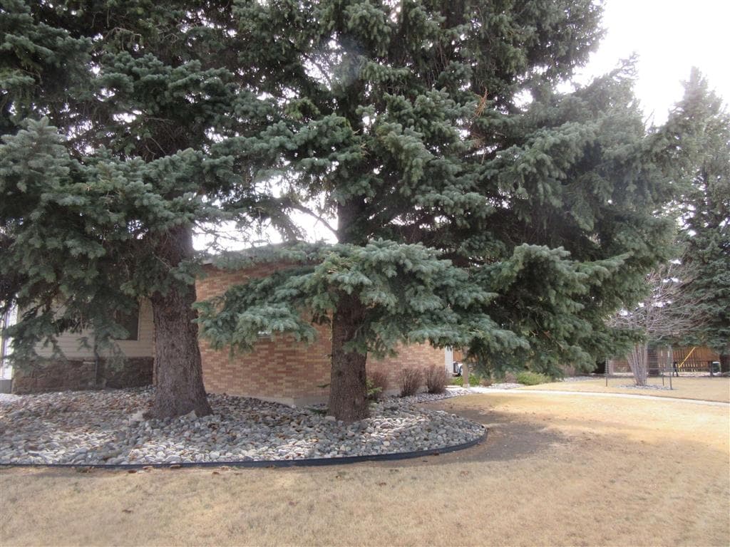 1402 Stampede Ave — photo 8 of 56