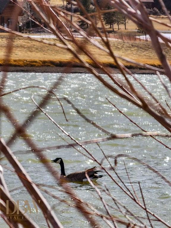 74 Stillwater Dr — photo 3 of 20