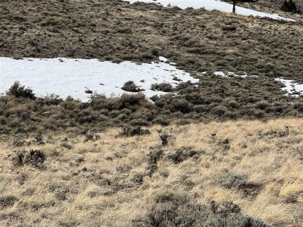 Lot 105 Laurel Dr — photo 3 of 8