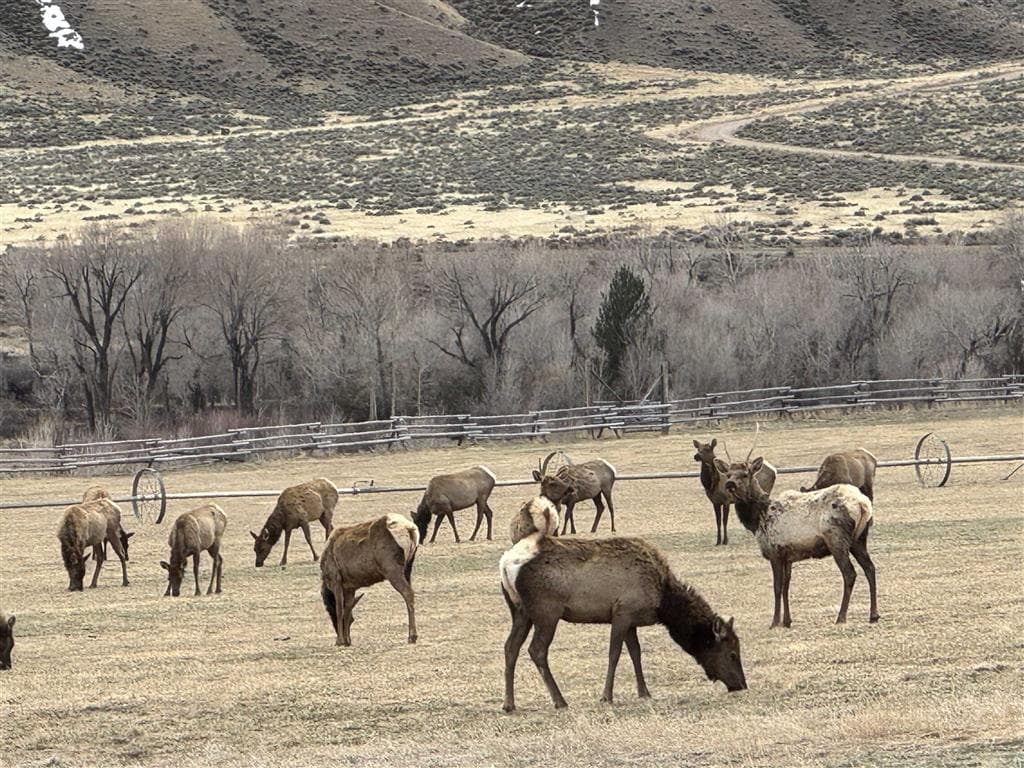 Lot 105 Laurel Dr — photo 6 of 8