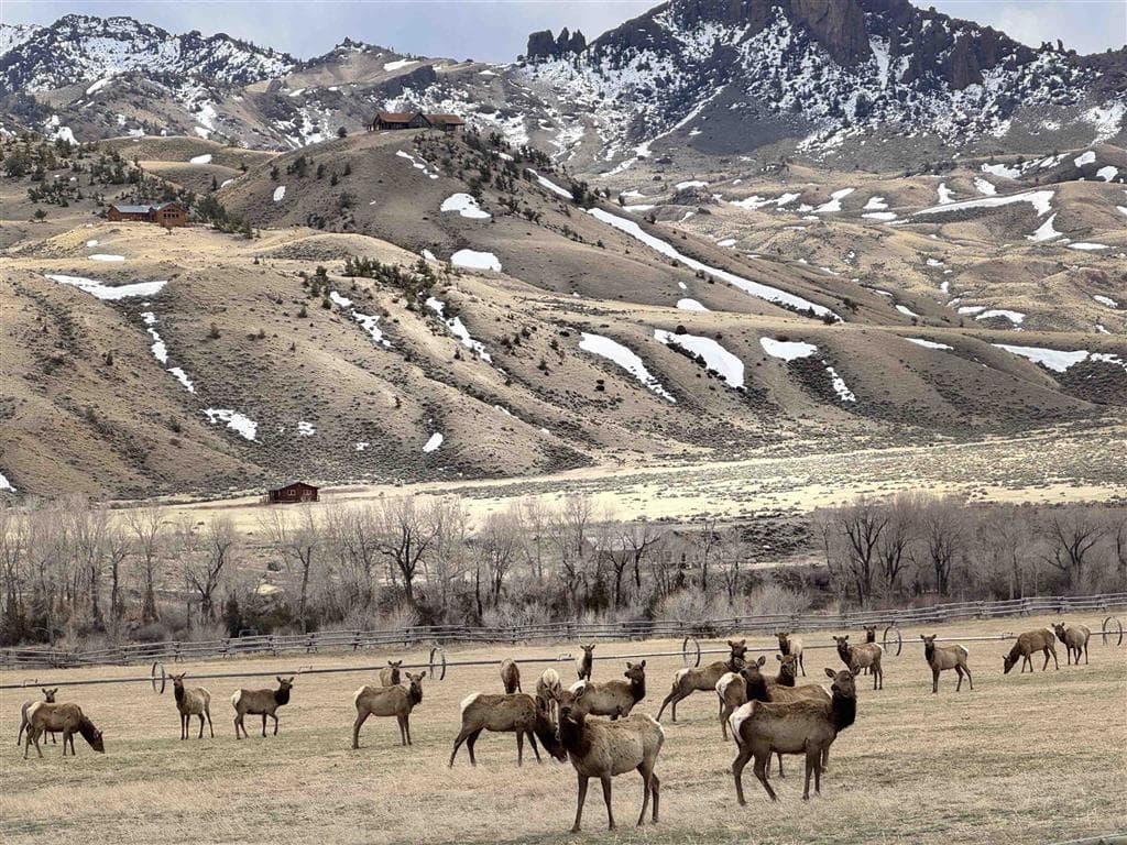 Lot 105 Laurel Dr — photo 7 of 8