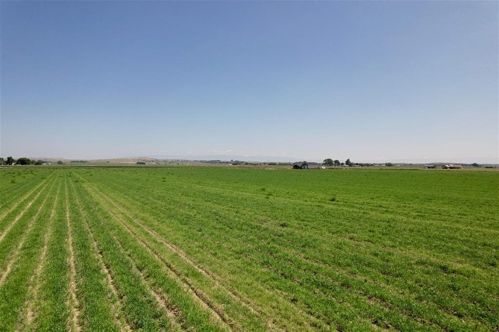 TBD Road 6 — photo 3 of 17