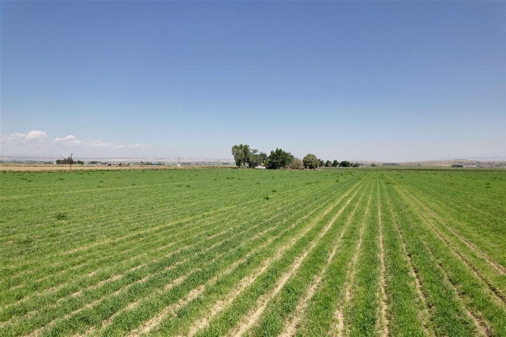 TBD Road 6 — photo 5 of 17