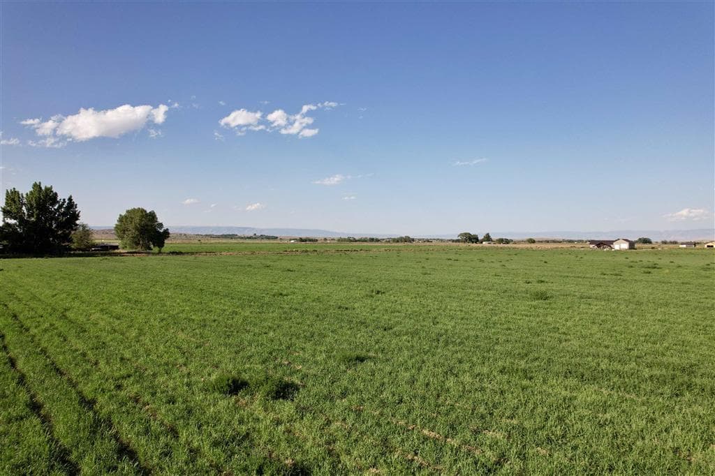 TBD Road 6 — photo 10 of 17